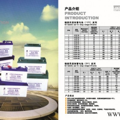 威利高科6-CNF-100蓄電池湖北恩施土家族新農(nóng)村太陽能蓄電池（廠家直逼580） 膠體免維護(hù)蓄電池
