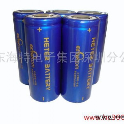 供應磷酸鐵鋰電池 鋰電池