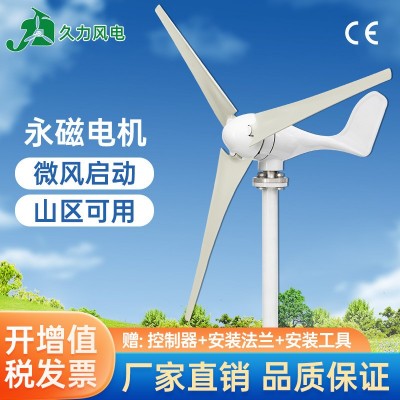 水平軸風力發電機戶外家用100W300W風能大功率12v24v永磁太陽能風 1個起批