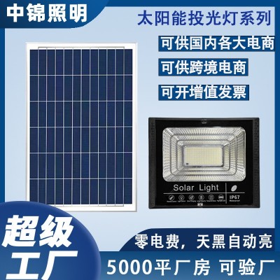 惠民新款太陽能燈戶外照明庭院燈太陽能投光燈新農(nóng)村路燈廠家直銷