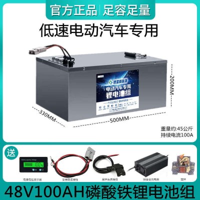 電動汽車鐵鋰電池48v100ah磷酸鐵鋰電池組足容足量低速電動車使用