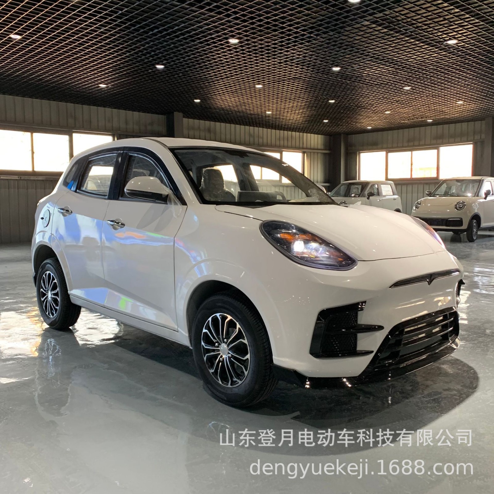 電動轎車電動四輪車家用代步車油電兩用冷暖空調新能源低速電瓶車