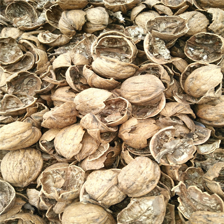 核桃殼