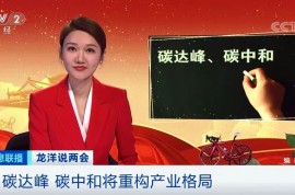 碳達峰、碳中和，將重新定義經濟版圖！